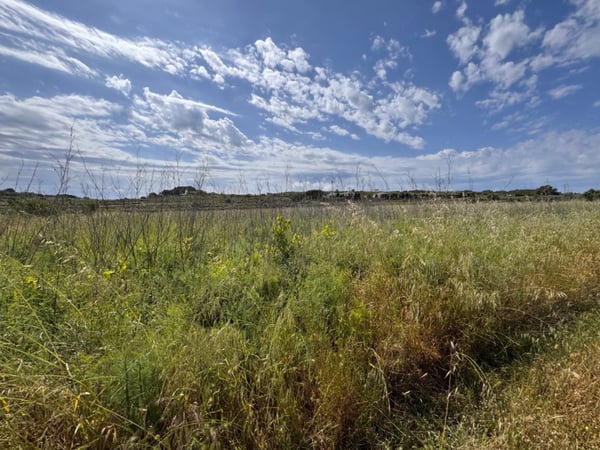 Land in Berdica - view 1