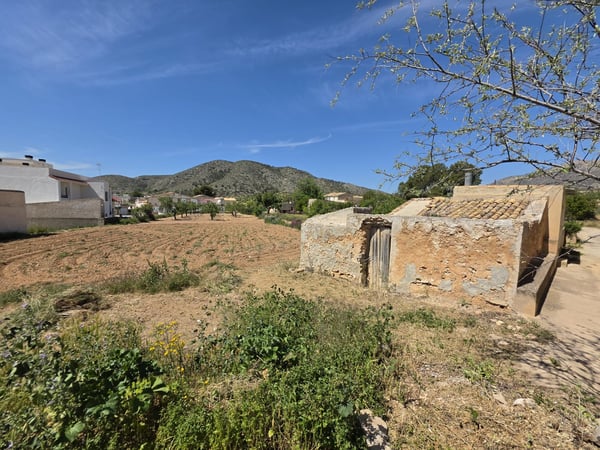 Land in La Canalosa - view 1