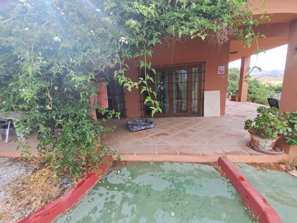 Apartment in Malaga - Image 3