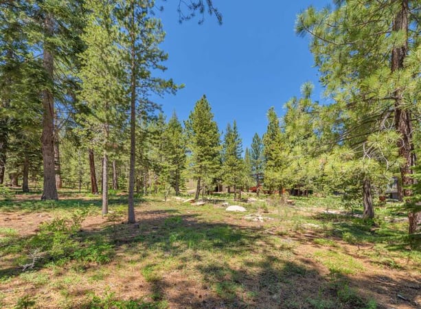 House in Truckee - view 1