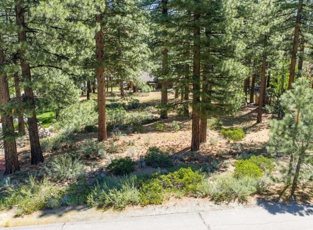 House in Washoe City - view 1