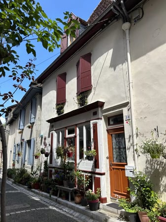 House in Salies-de-Bearn - view 1