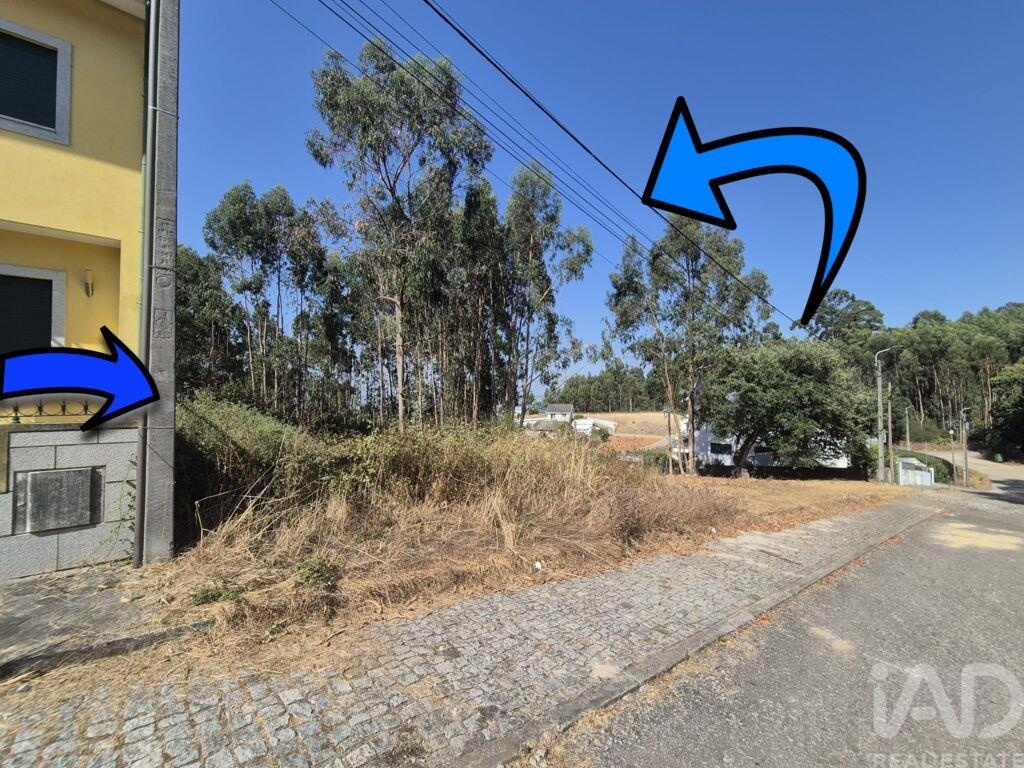 Land in Pedroso - Image 2