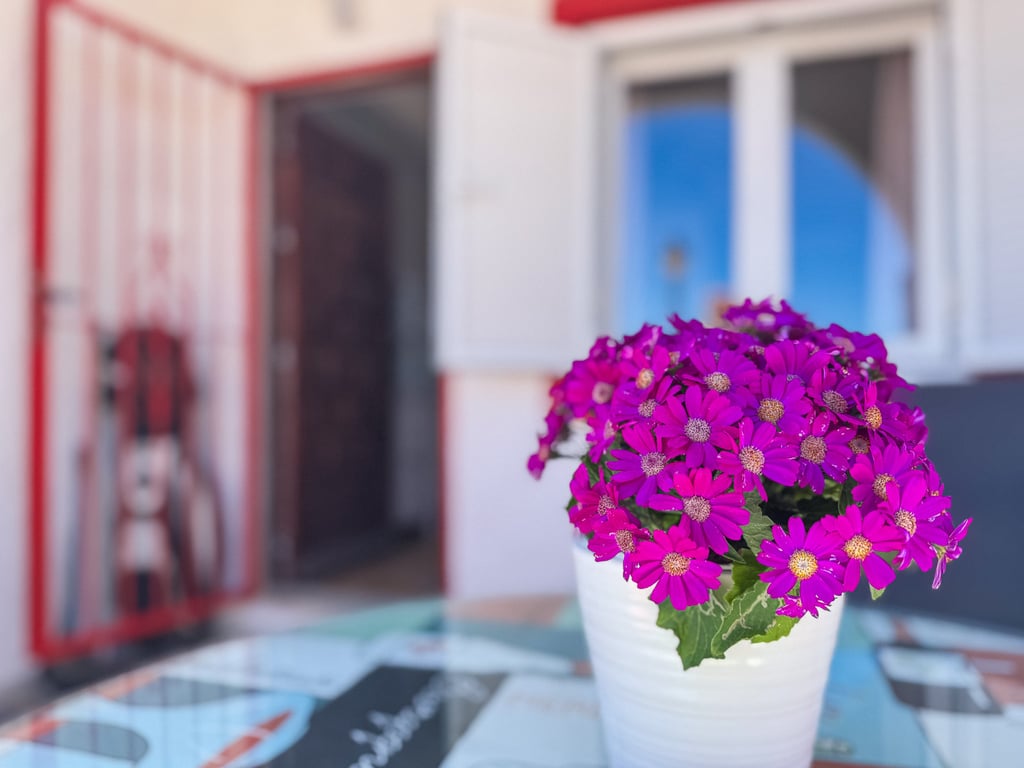 Apartment in Torrevieja - Image 3
