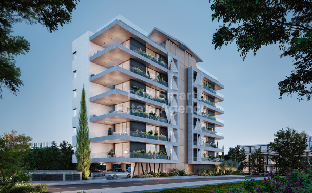 Apartment in Ayioi Omoloyites - view 1