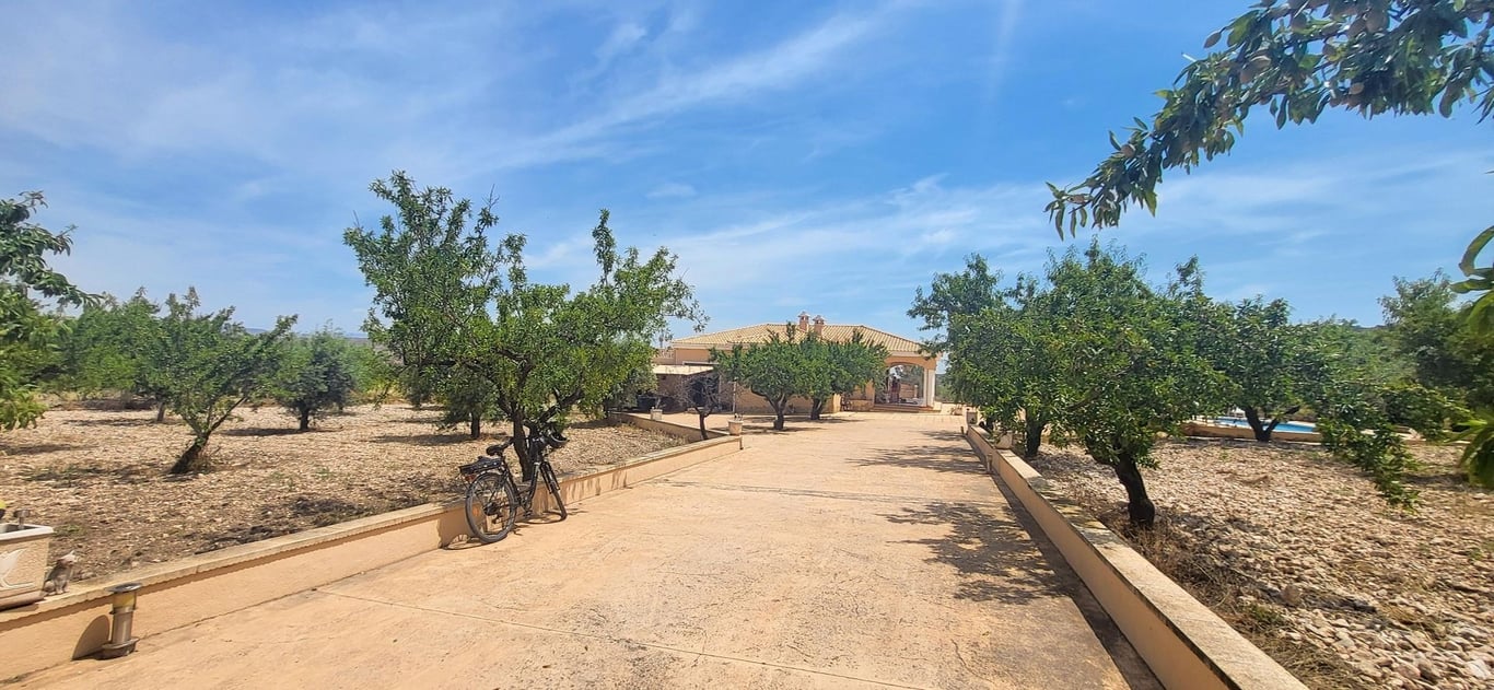 House in Hondon de las Nieves - Image 3