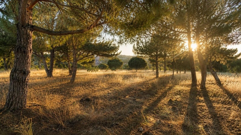 Land in Carvoeiro - view 1