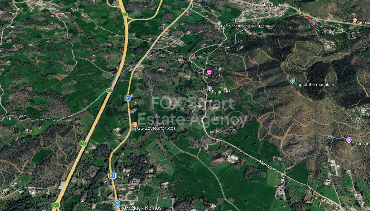 Land in Mosfiloti