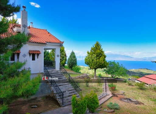 House in Ampelokipoi - view 1