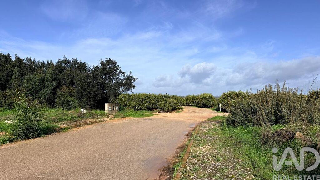 Land in Pera