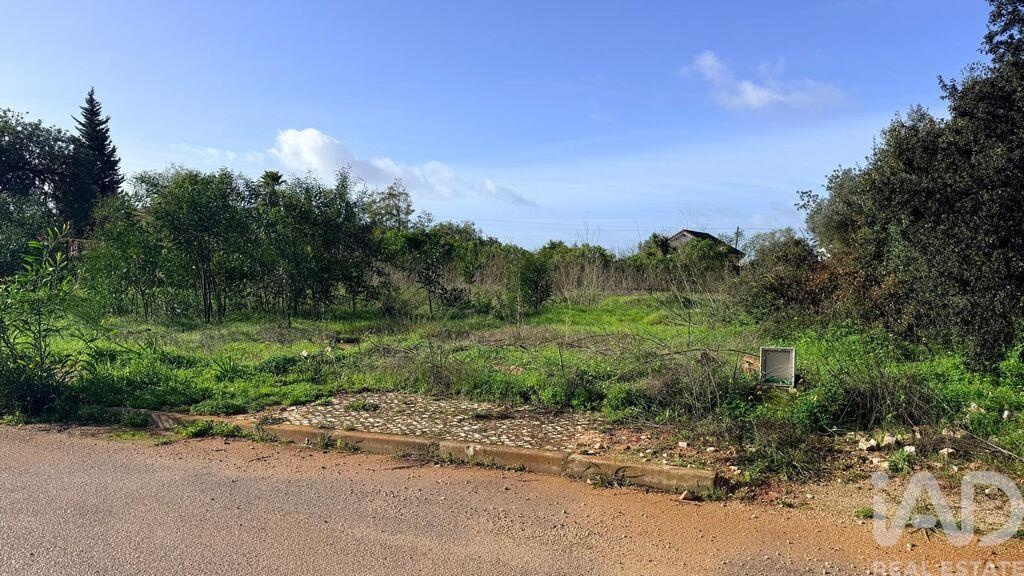 Land in Pera - Image 2