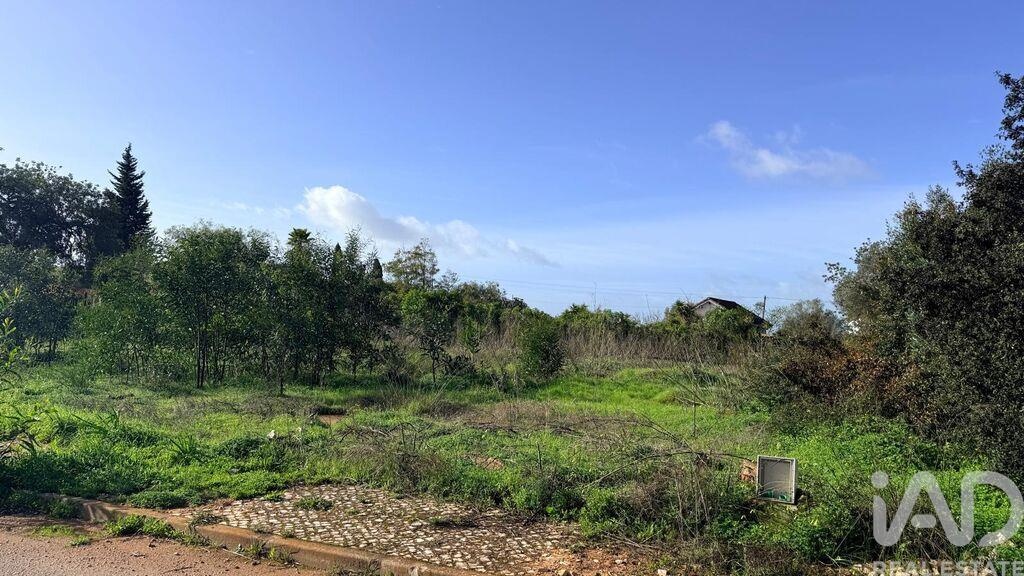 Land in Pera - Image 3