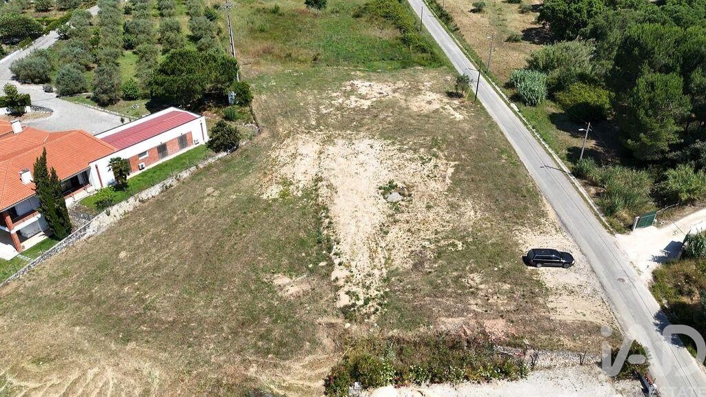 Land in Ribeira de Sao Joao - Image 2