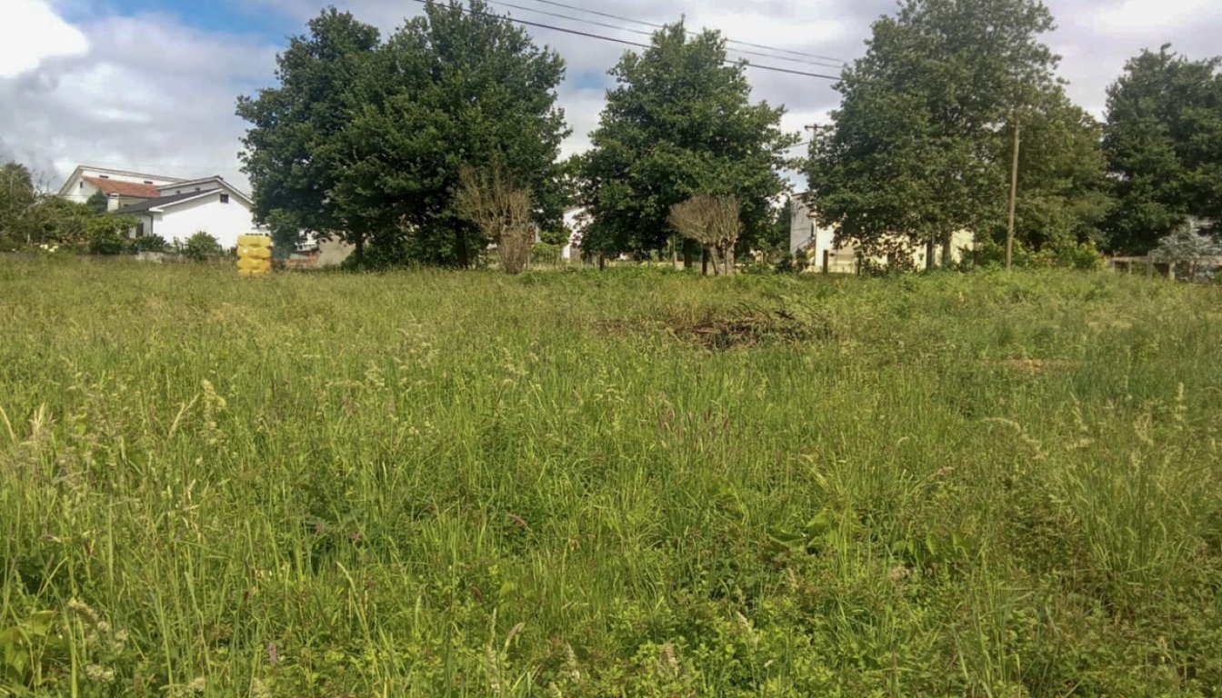House in Sa - Image 2
