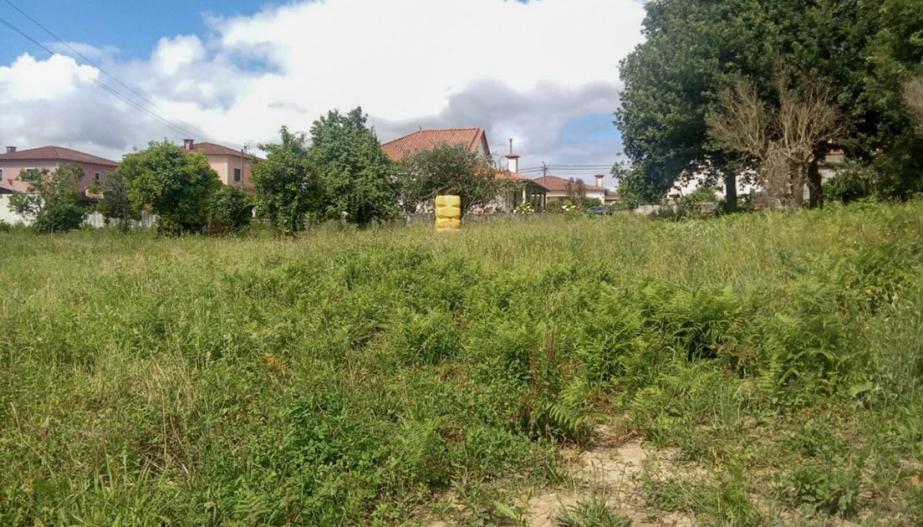 House in Sa - Image 3