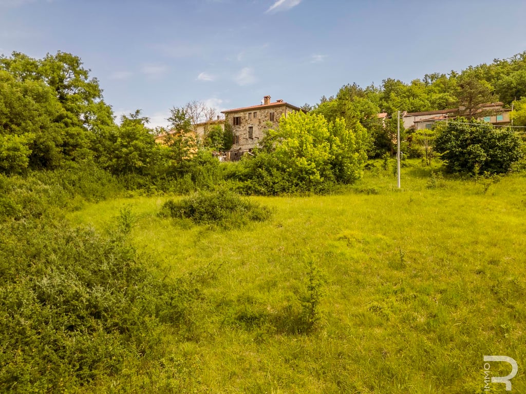 House in Badia Tedalda - Image 3