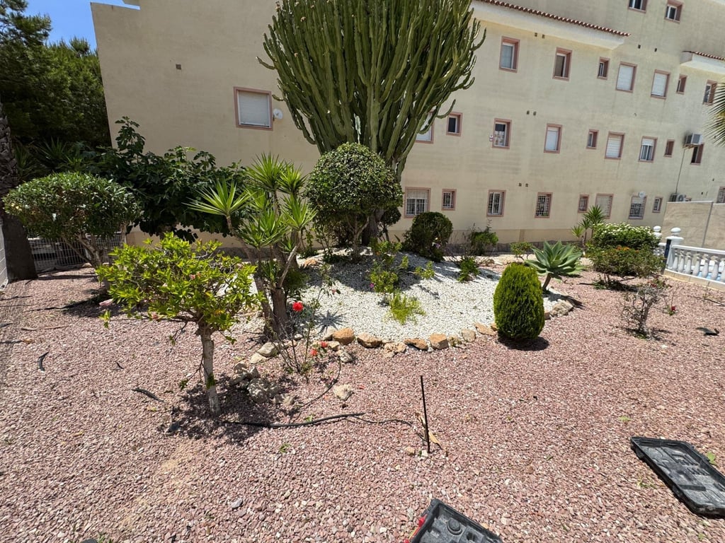 House in El Chaparral - Image 2
