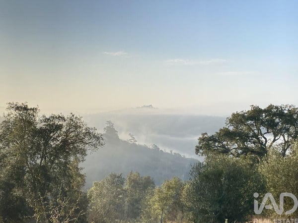 Farm, Ranch or Equestrian in Odemira (Santa Maria) - view 1