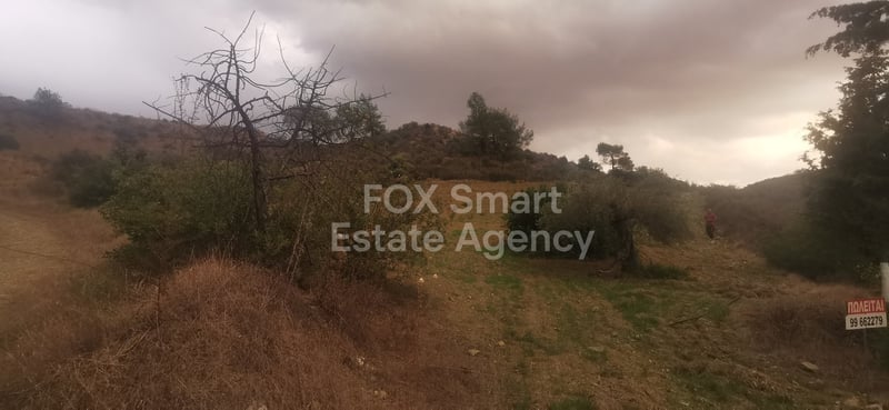 Land in Pyrgos - view 1