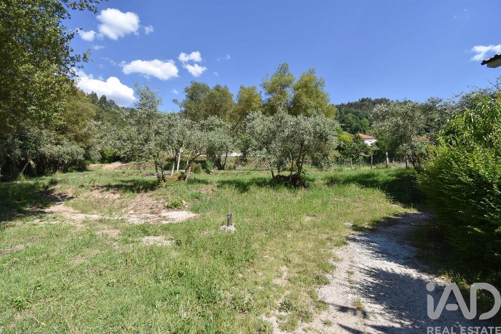 Land in Penela - Image 2