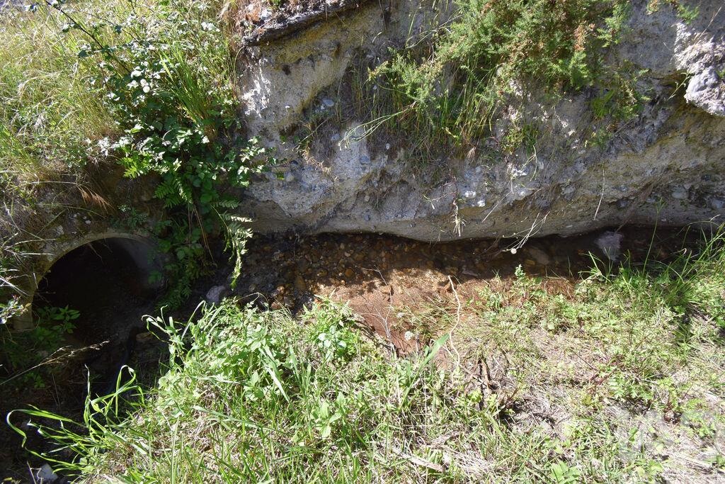 Land in Penela - Image 3