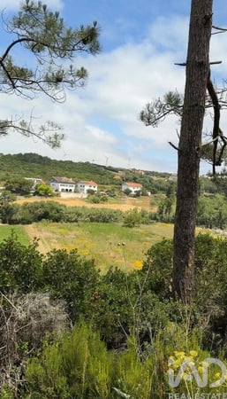 Land in Santo Isidoro - view 1