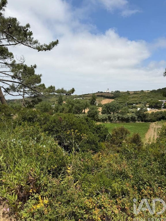 Land in Santo Isidoro - Image 3