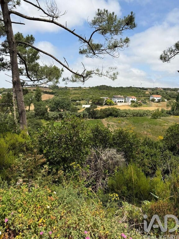 Land in Santo Isidoro - Image 2