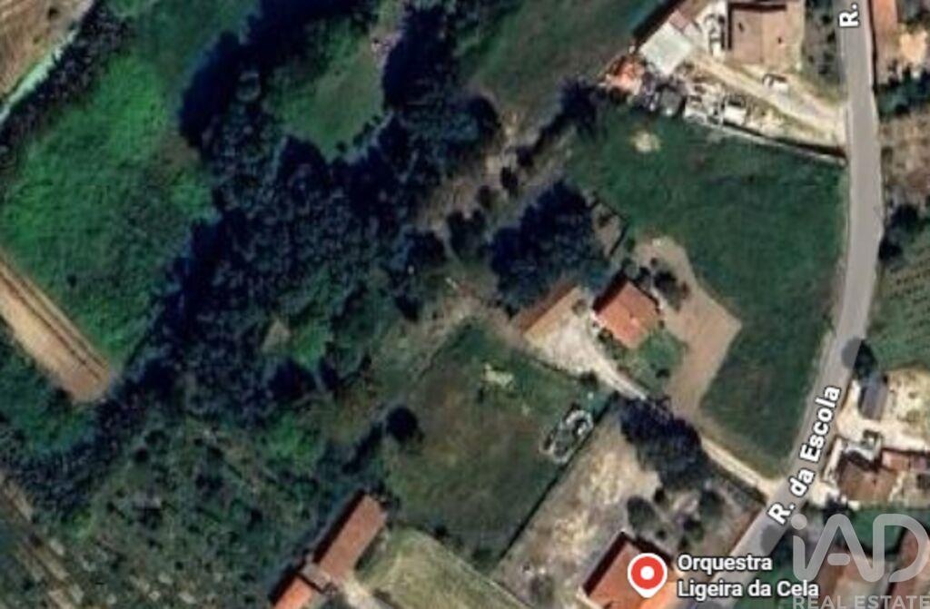Land in Cela - Image 3