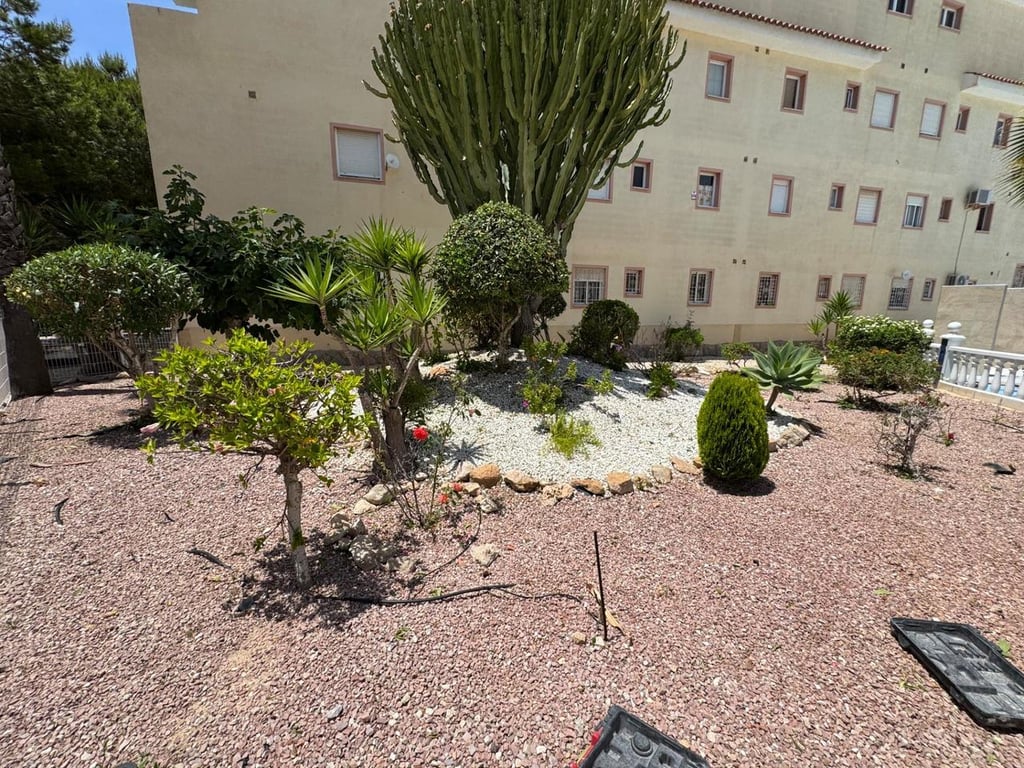 House in Torrevieja - Image 2