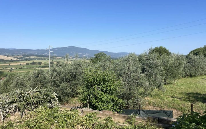 House in Colle - view 1