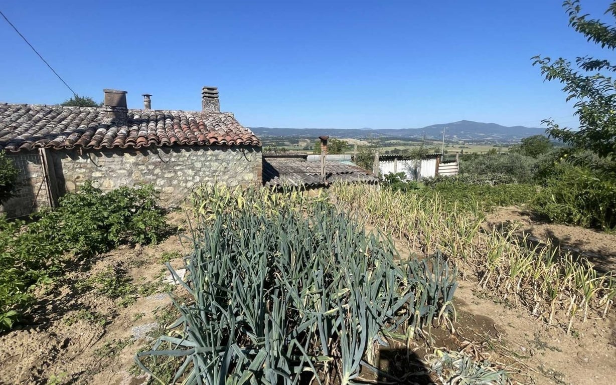 House in Colle - Image 3