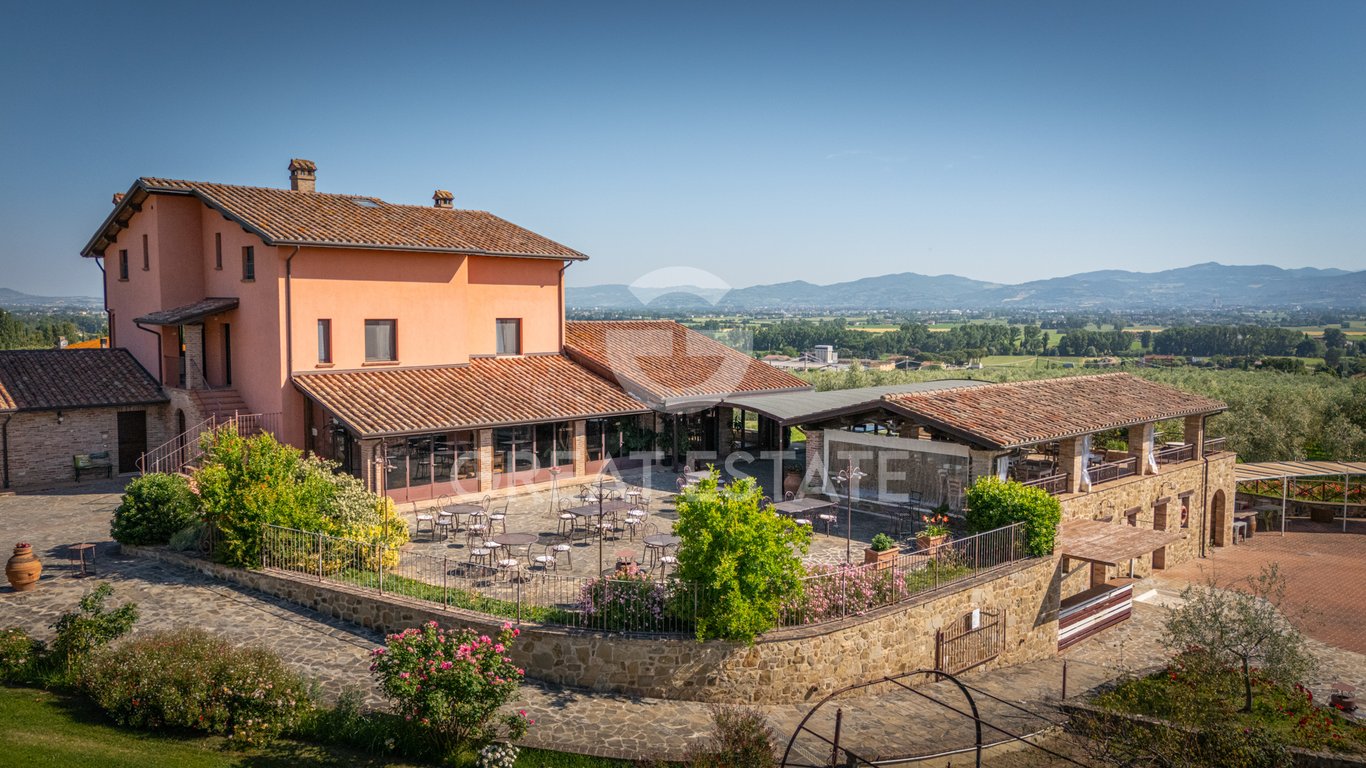 House in Limigiano - Image 2