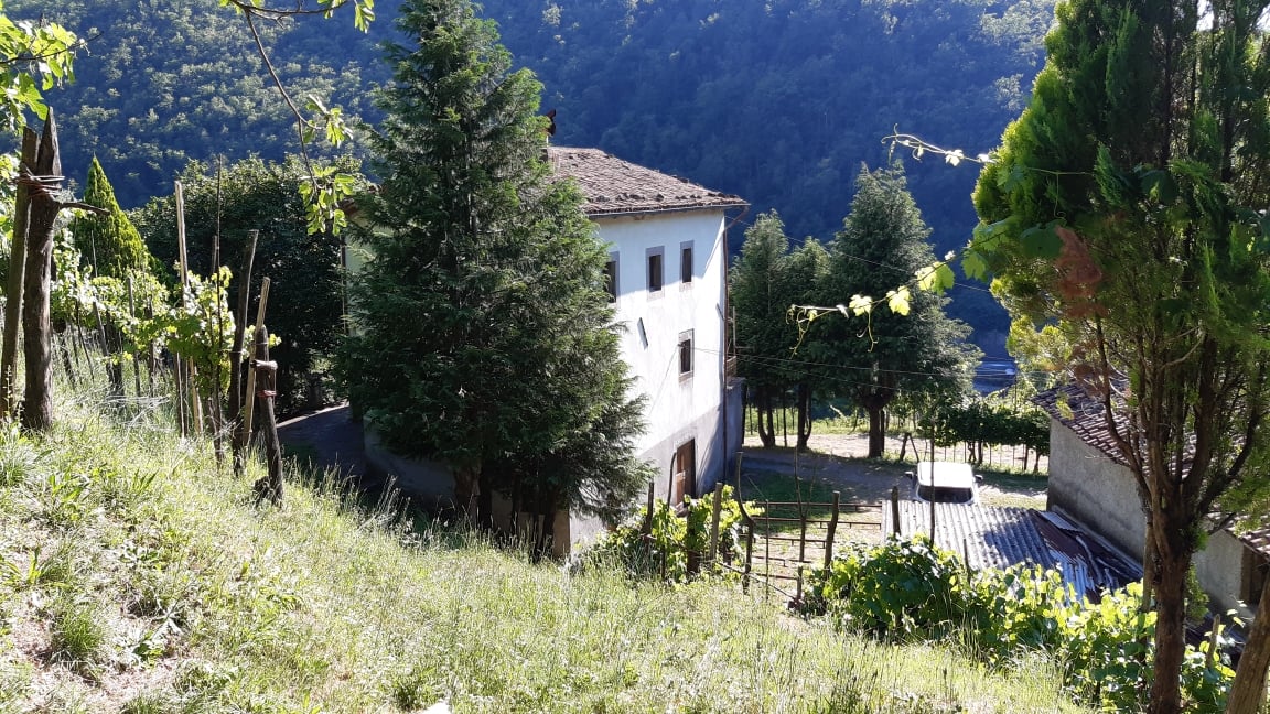 House in Fosciandora