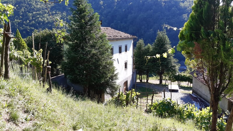 House in Fosciandora - view 1