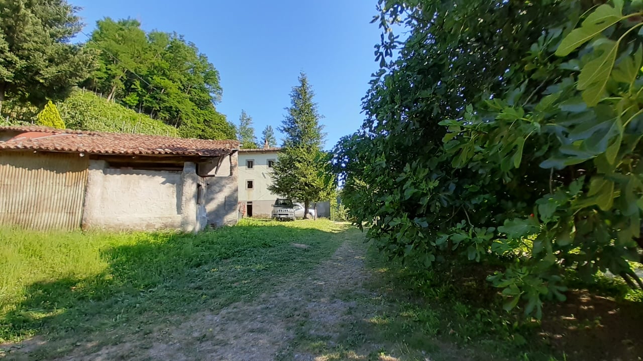 House in Fosciandora - Image 2