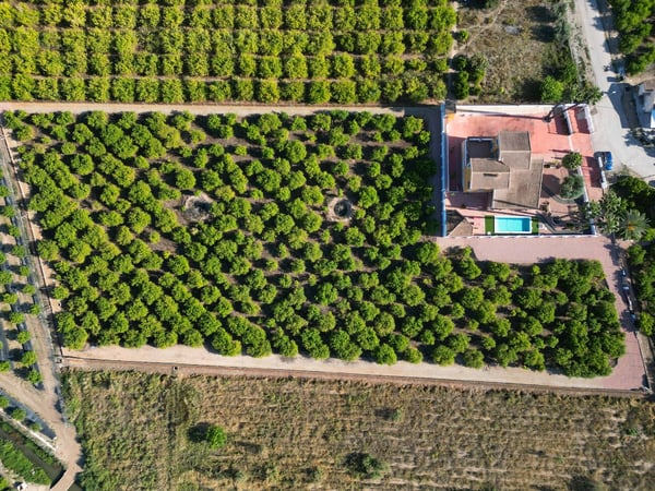Farm, Ranch or Equestrian in Los Montesinos - view 1