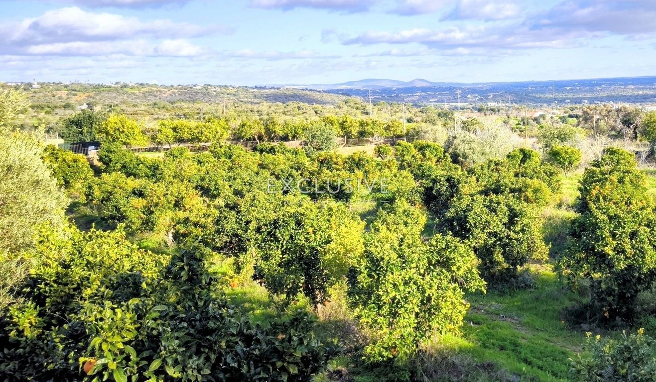 Land in Albufeira - Image 3