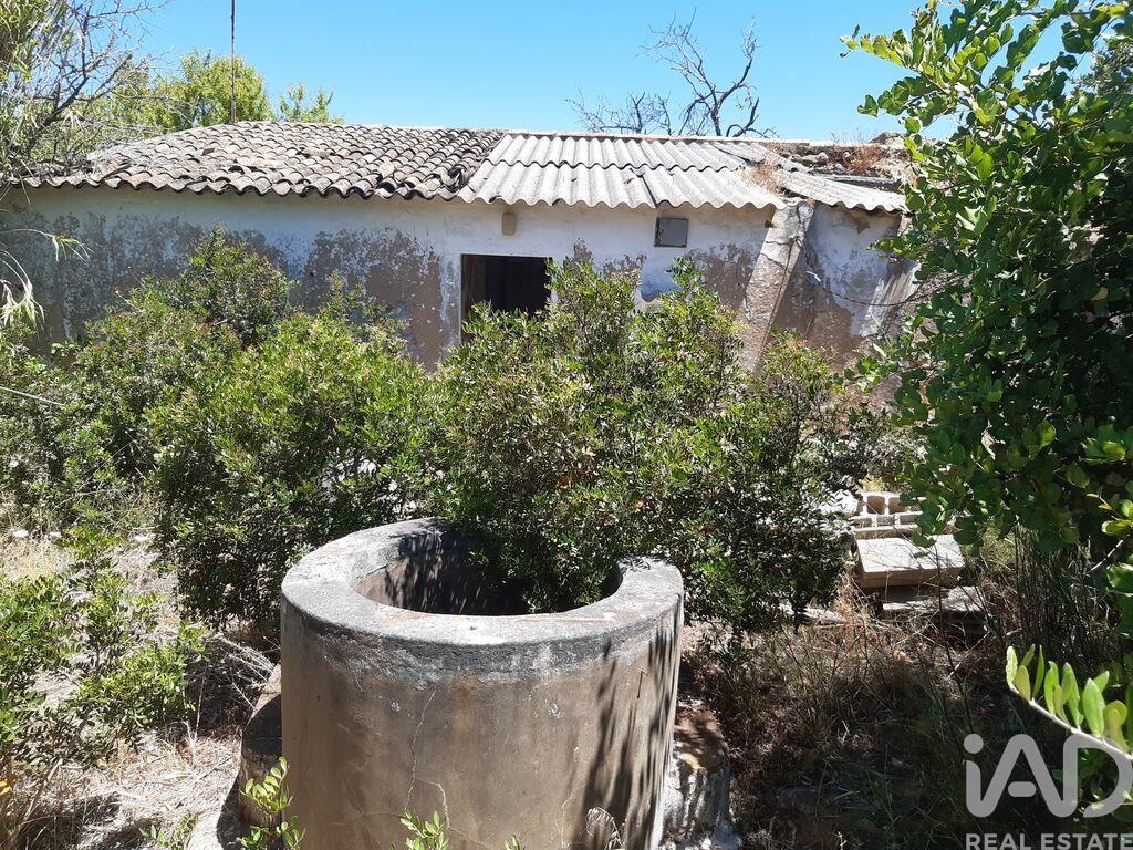 House in Guia - Image 3