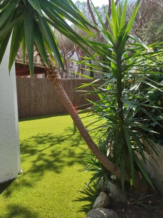 House in Platja d'Aro - view 1