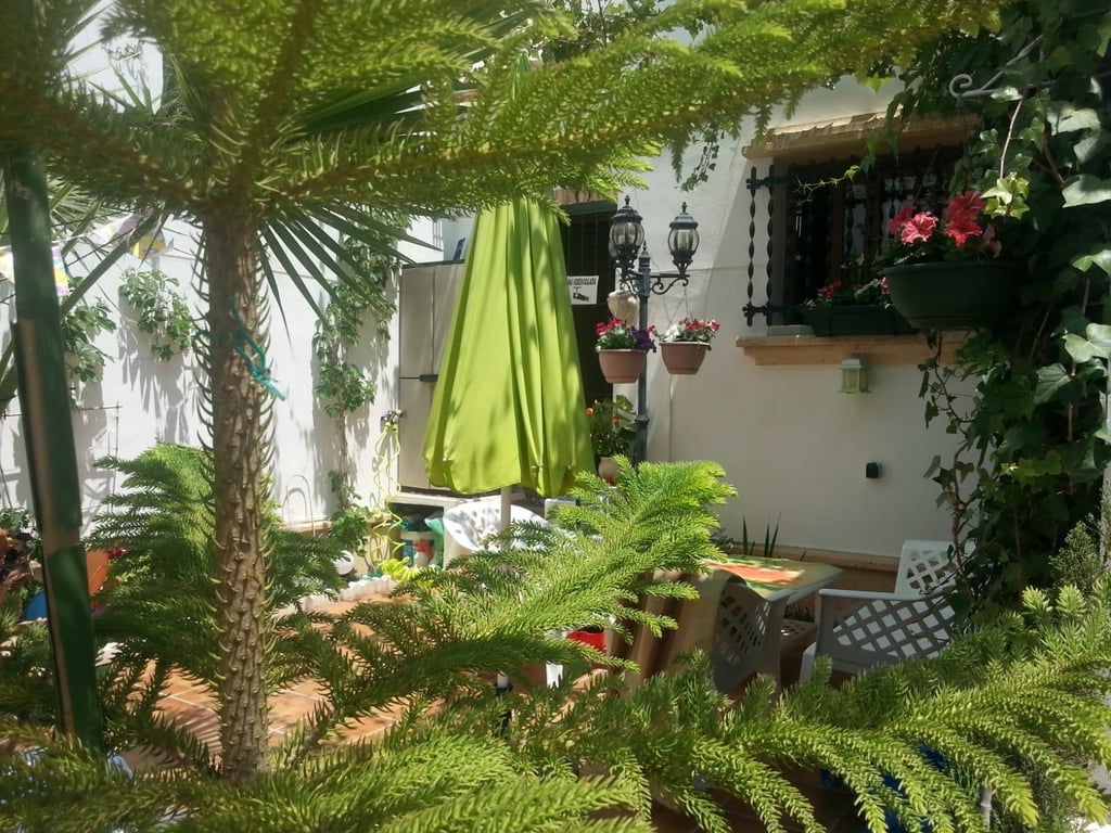 House in Villamartin - Image 3