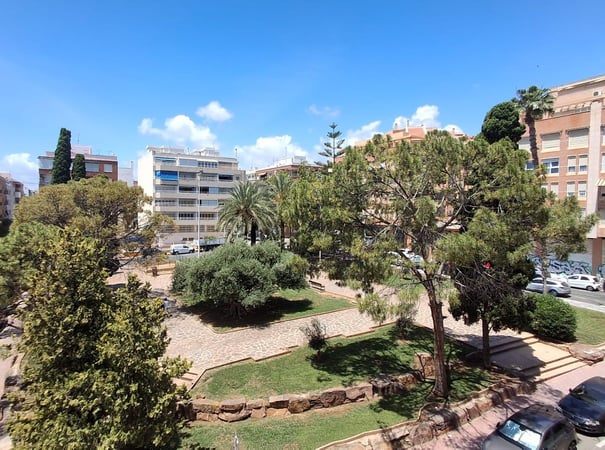 Apartment in Torrevieja - view 1
