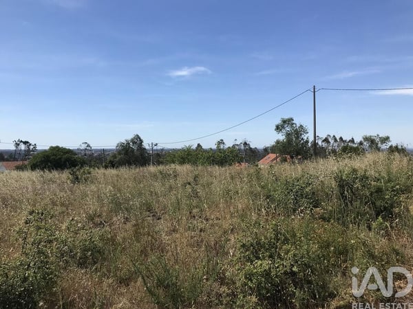 Land in Colmeias - view 1