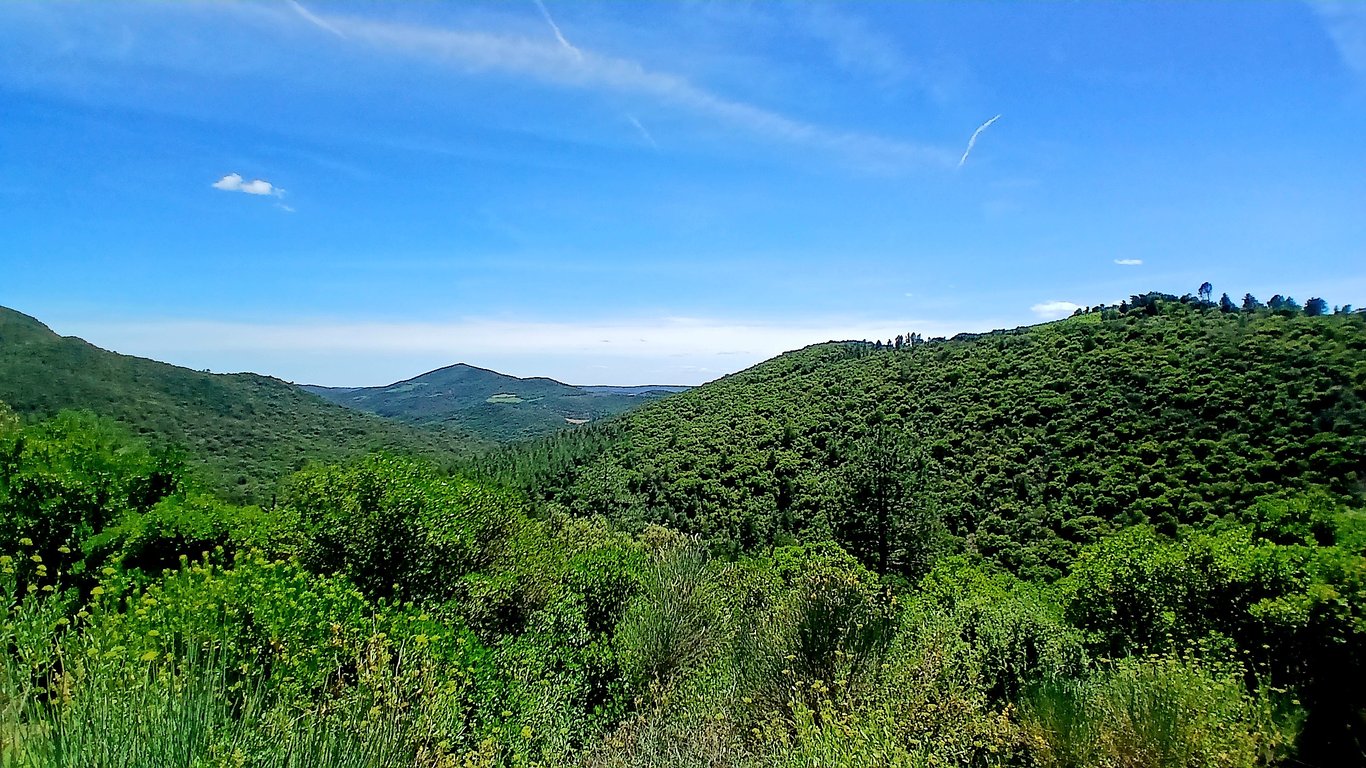 House in Roquebrun - Image 3