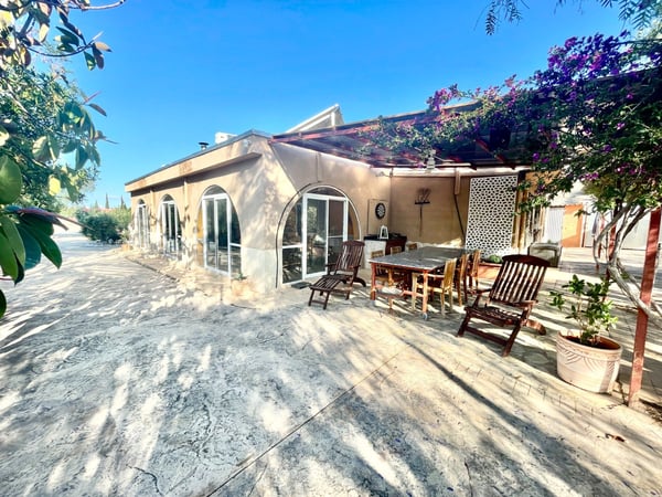 Farm, Ranch or Equestrian in Crevillente - view 1