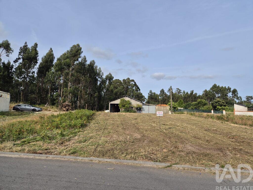 Land in Ponte de Vagos - Image 3