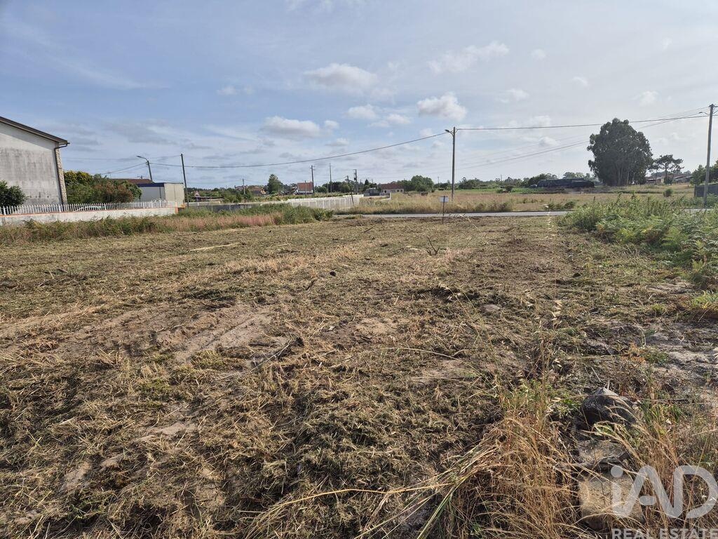 Land in Ponte de Vagos - Image 2