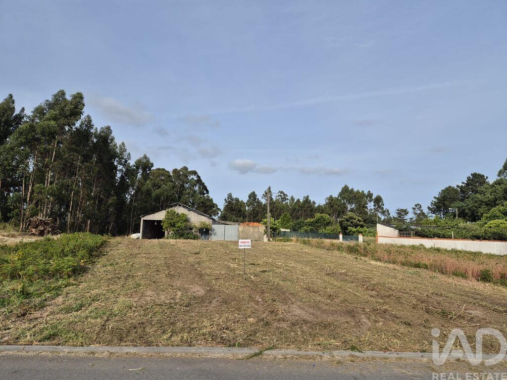 Land in Ponte de Vagos