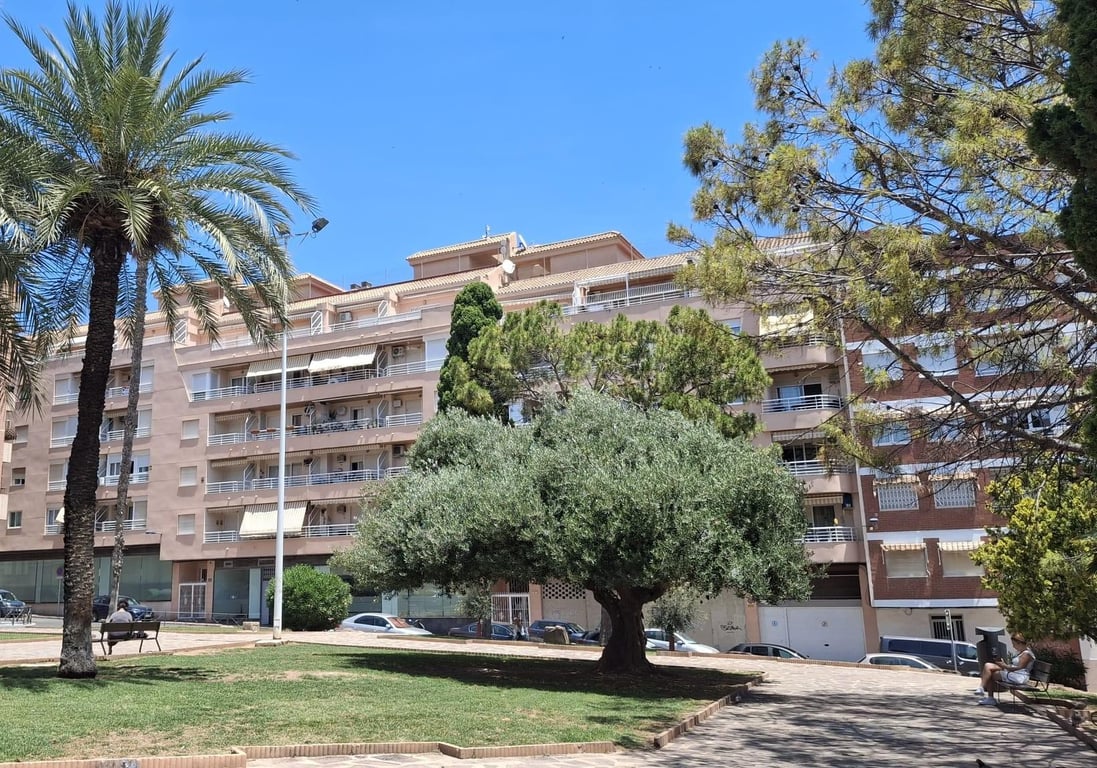 Apartment in Torrevieja - Image 3