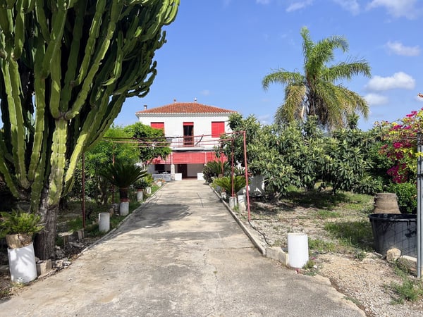 Villa in Pego - view 1
